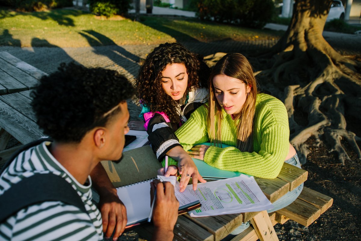 Students studying together